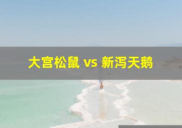 大宫松鼠 vs 新泻天鹅